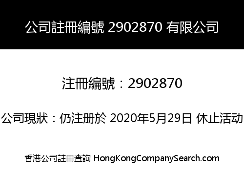 Company Registration Number 2902870 Limited