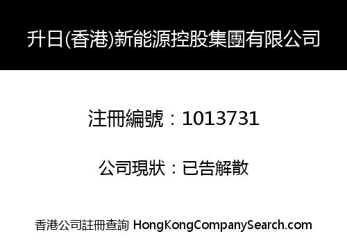 SUN EARTH (HONGKONG) NEW ENERGY GROUP HOLDING COMPANY LIMITED