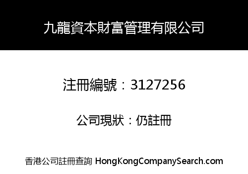 Kowloon Capital Wealth Management Limited