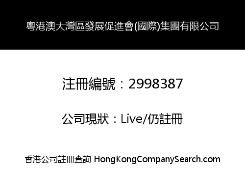 GUANGDONG HONG KONG MACAO GREAT BAY DEVELOPMENT ASSOCIATION (INTERNATIONAL) GROUP CO., LIMITED