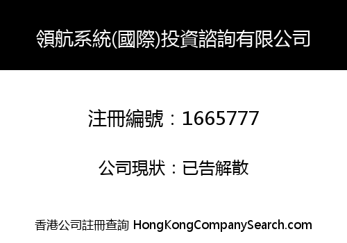 領航系統(國際)投資諮詢有限公司