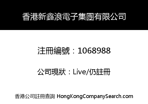 香港新鑫浪電子集團有限公司
