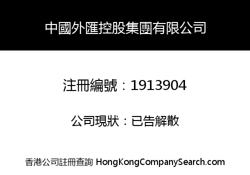 中國外匯控股集團有限公司