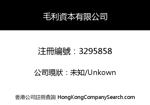 毛利資本有限公司