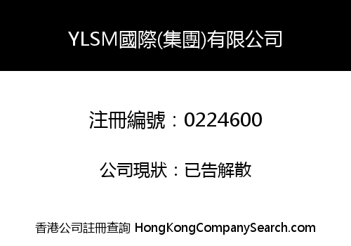 YLSM INTERNATIONAL (HOLDING) COMPANY LIMITED