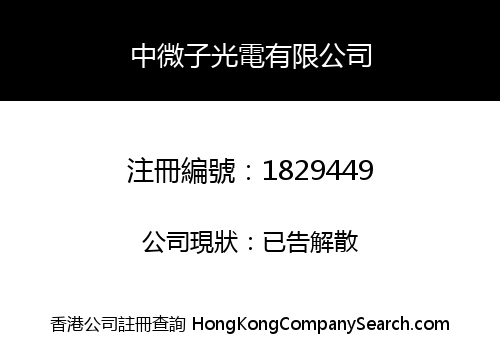 中微子光電有限公司
