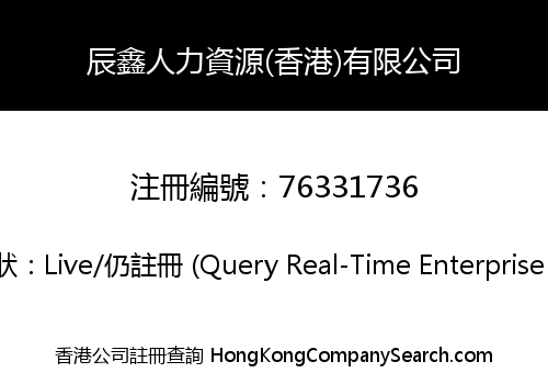 辰鑫人力資源(香港)有限公司