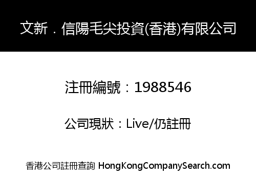 文新．信陽毛尖投資(香港)有限公司