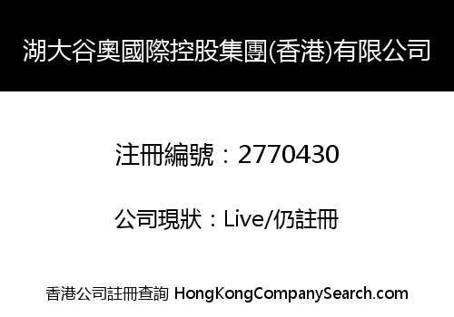 湖大谷奧國際控股集團(香港)有限公司