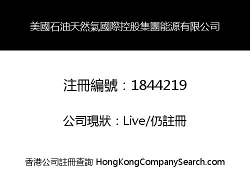 美國石油天然氣國際控股集團能源有限公司