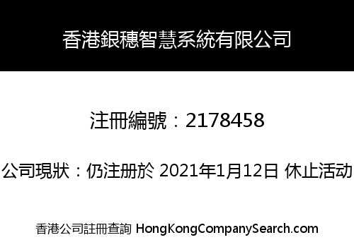 香港銀穗智慧系統有限公司