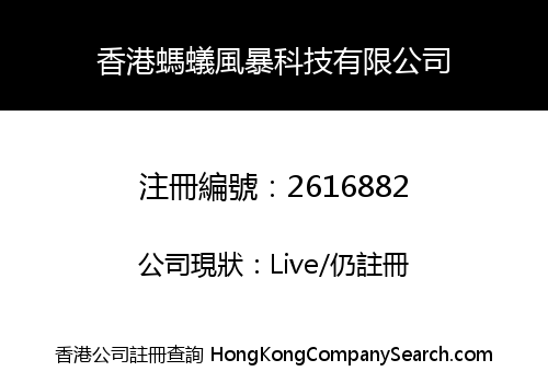 香港螞蟻風暴科技有限公司