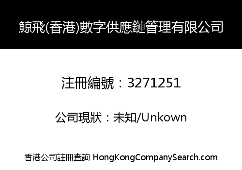 Jing Fei (Hong Kong) Digital Supply Chain Management Co., Limited