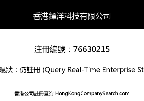 香港鐸洋科技有限公司