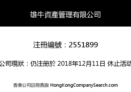 雄牛資產管理有限公司