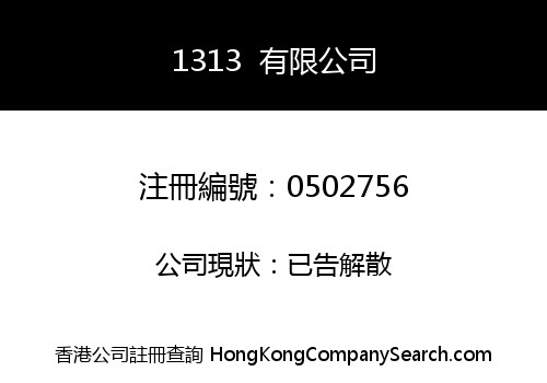 1313 LIMITED