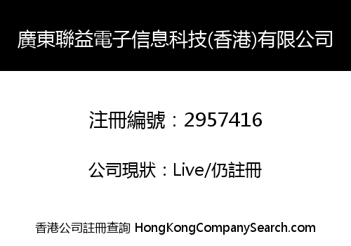 廣東聯益電子信息科技(香港)有限公司