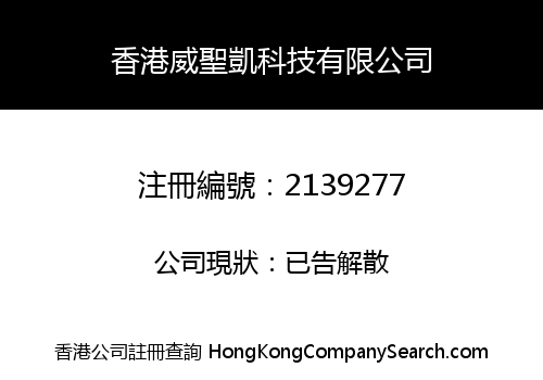 HongKong Simple Vsky Technology Co., Limited