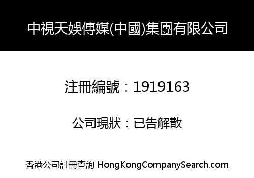 中視天娛傳媒(中國)集團有限公司