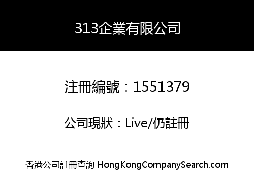 313企業有限公司