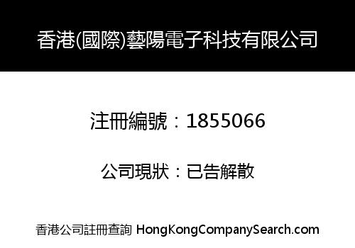 HONG KONG (INTERNATION) YI YANG ELECTRONIC TECHNOLOGY CO., LIMITED