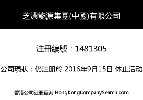 芝濃能源集團(中國)有限公司