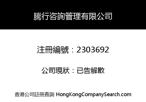 TENGXING TECHNOLOGY CONSULTANCY LIMITED