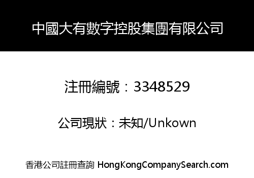 China Dayou Digital Holdings Group Co., Limited