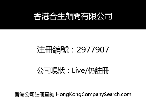 HONG KONG HE SHENG CONSULTANCY SERVICES CO., LIMITED