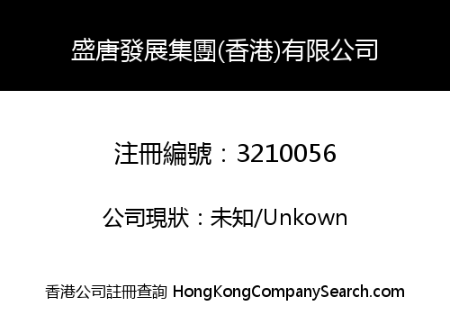 盛唐發展集團(香港)有限公司