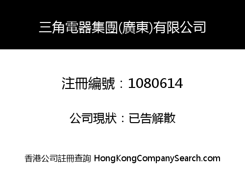 TRIANGULAR ELECTRIC GROUP (GUANGDONG) LIMITED