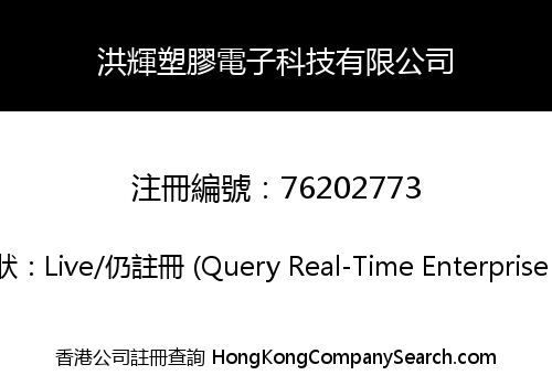 洪輝塑膠電子科技有限公司