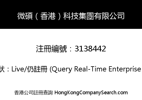 微碩（香港）科技集團有限公司
