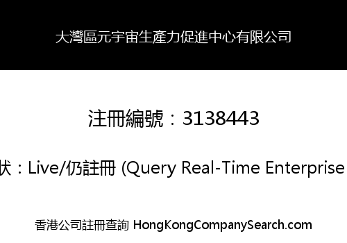 大灣區元宇宙生產力促進中心有限公司