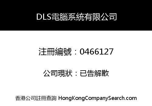 DLS電腦系統有限公司