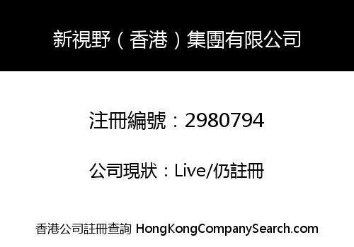 NEW VISION (HK) GROUP LIMITED