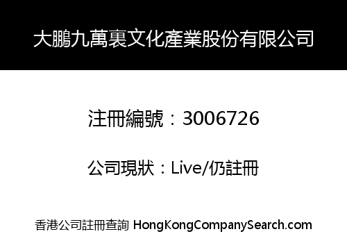 大鵬九萬裏文化產業股份有限公司