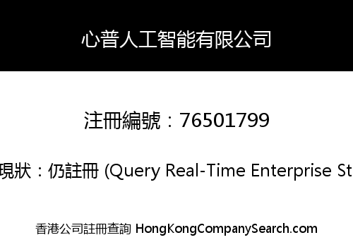 心普人工智能有限公司