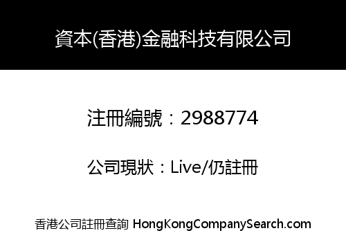 FINTECH CAPITAL HONG KONG LIMITED