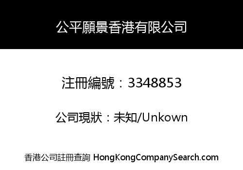 FAIR VISION HONGKONG LIMITED