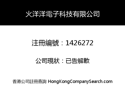 火洋洋電子科技有限公司