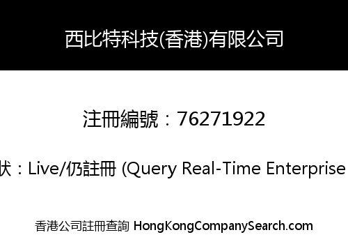 西比特科技(香港)有限公司