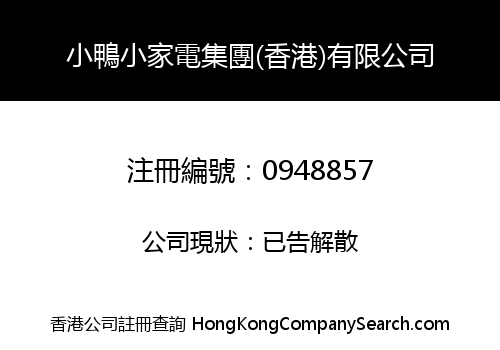 CANETON SMALL HOME APPLIANCE HOLDING (HONG KONG) LIMITED