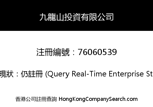 九龍山投資有限公司