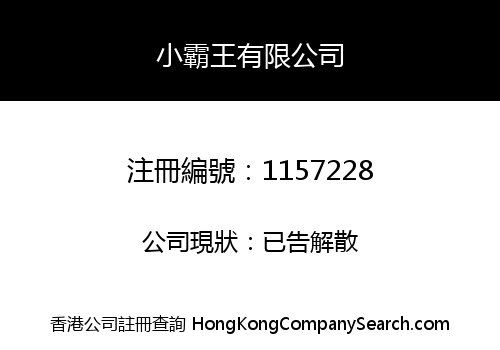 小霸王有限公司