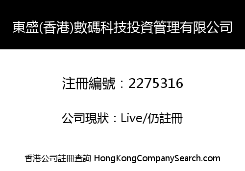 東盛(香港)數碼科技投資管理有限公司