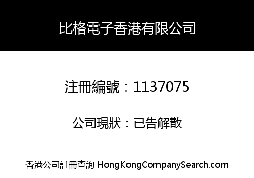 比格電子香港有限公司