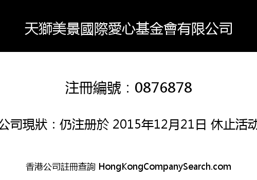 TIANSHI MEIJING INTERNATIONAL LOVE AND CARE FOUNDATION LIMITED