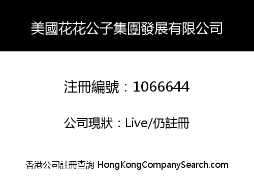 USA PLAYBOY GROUP DEVELOPMENT LIMITED