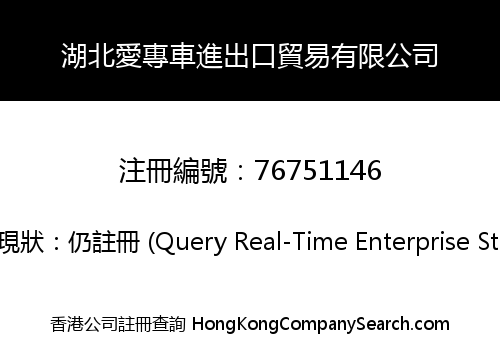 湖北愛專車進出口貿易有限公司